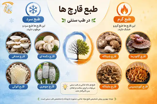 طبع قارچ های مختلف
