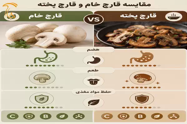 مقایسه قارچ خام و قارچ پخته برای بررسی تفاوت هضم، طعم و حفظ مواد مغذی