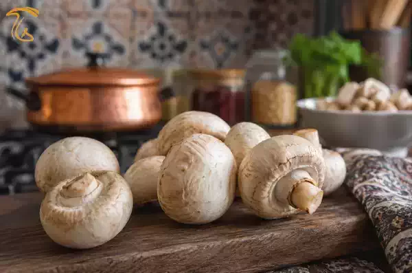 قارچ دکمهای منبع طبیعی ترکیبات اومامی