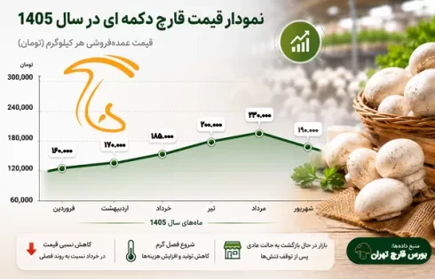 نمودار تغییرات و نوسانات قیمت قارچ دکمه ای در سال 1405