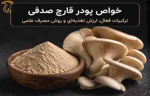پودر قارچ صدفی خالص Pleurotus ostreatus و قارچ صدفی تازه