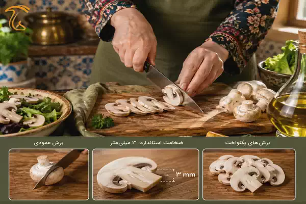 برش اصولی قارچ به ضخامت ۳ میلیمتر برای کنترل بافت در سالاد قارچ و کاهو رژیمی