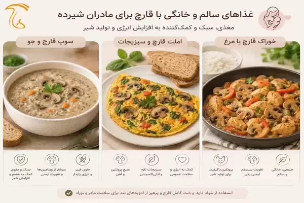 غذاهای سالم و خانگی با قارچ برای مادران شیرده مانند سوپ، املت و خوراک قارچ