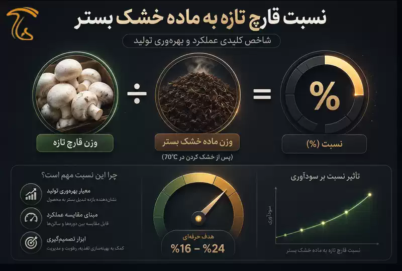 تاثیر افزایش BE بر کاهش هزینه تمامشده هر کیلوگرم قارچ در سالن پرورش