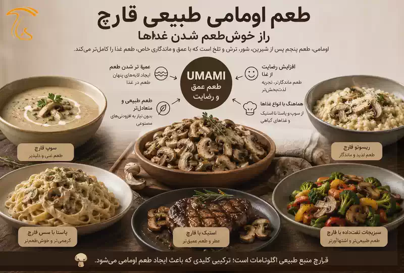طعم اومامی طبیعی قارچ و نقش آن در خوشطعم شدن غذا