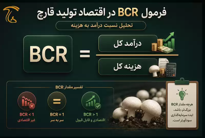 فرمول BCR در اقتصاد تولید قارچ برای تحلیل نسبت درآمد به هزینه