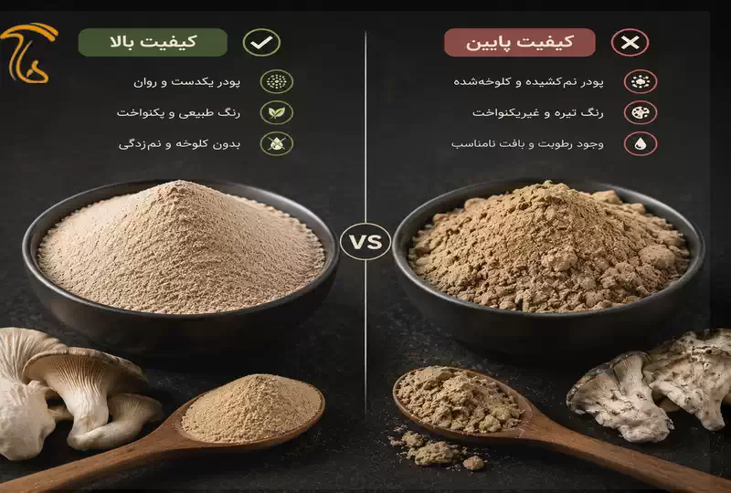 تشخیص پودر قارچ صدفی اصل و باکیفیت از محصول تقلبی