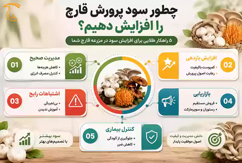 چطور سود و درآمد پرورش قارچ را افزایش دهیم