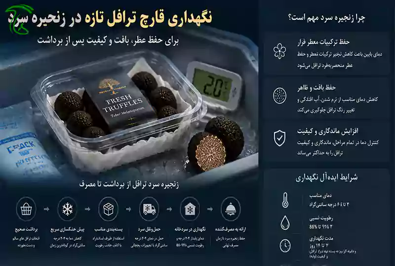 نگهداری قارچ ترافل در زنجیره سرد برای حفظ عطر، بافت و کیفیت پس از برداشت