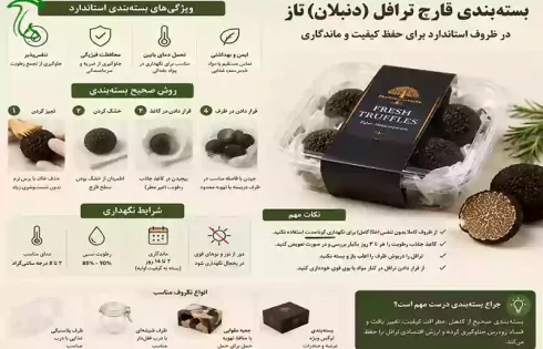 بسته‌بندی قارچ ترافل (دنبلان) تازه در ظروف استاندارد برای حفظ کیفیت و ماندگاری