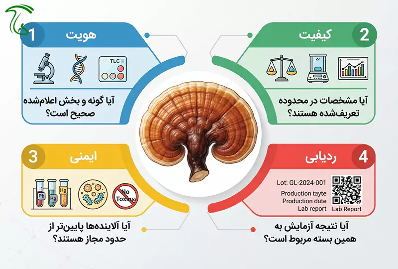 اینفوگرافیک آزمونهای ایمنی قارچ گانودرما