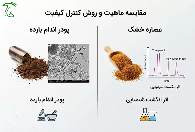 مقایسه پودر اندام بارده و عصاره گانودرما با بررسی میکروسکوپی و کروماتوگرافی