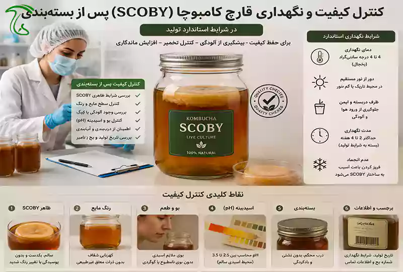 کنترل کیفیت و نگهداری نوشیدنی کامبوچا پس از بستهبندی در شرایط کنترلشده تولید