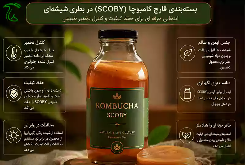 بستهبندی نوشیدنی کامبوچا در بطری شیشهای مناسب با تمرکز بر حفظ کیفیت و کنترل تخمیر