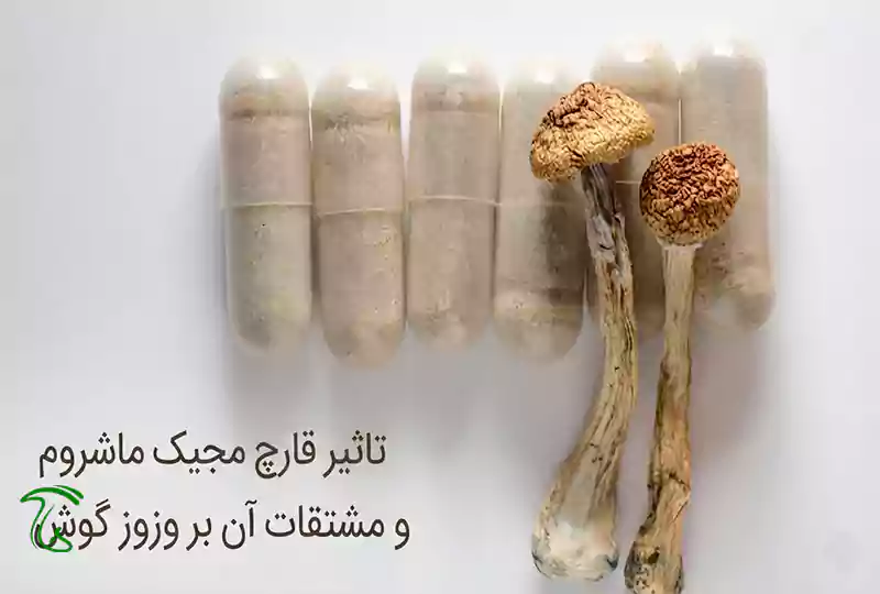 درمان وزوز گوش با مجیک ماشروم و بررسی اثر سیلوسایبین