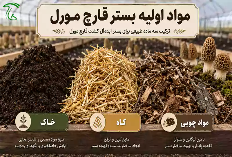 مواد اولیه بستر قارچ مورل شامل خاک، کاه و مواد چوبی