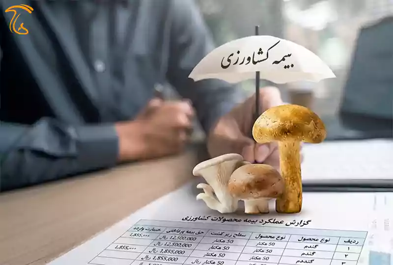 بیمه صنعت قارچ در ایران