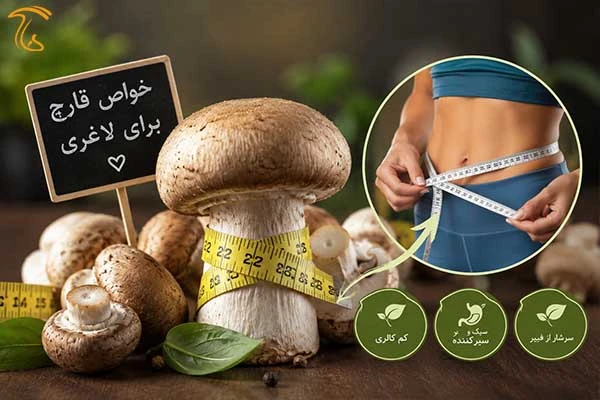 خواص قارچ برای لاغری از نظر ارزش غذایی