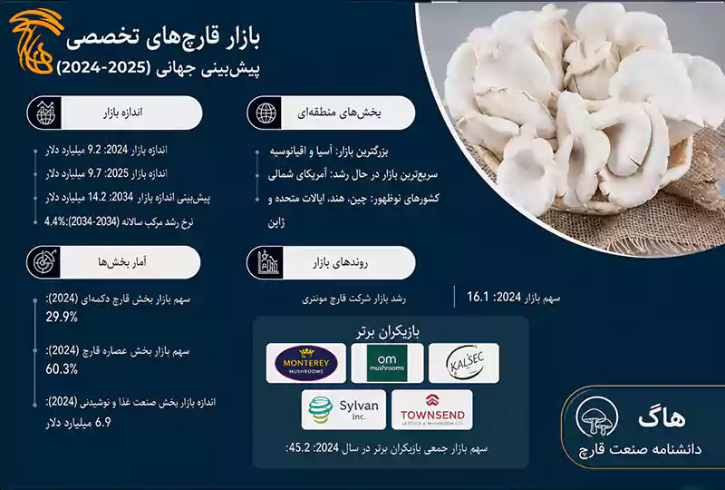 بازار جهانی قارچ صدفی