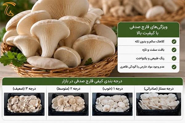 استانداردهای قارچ صدفی