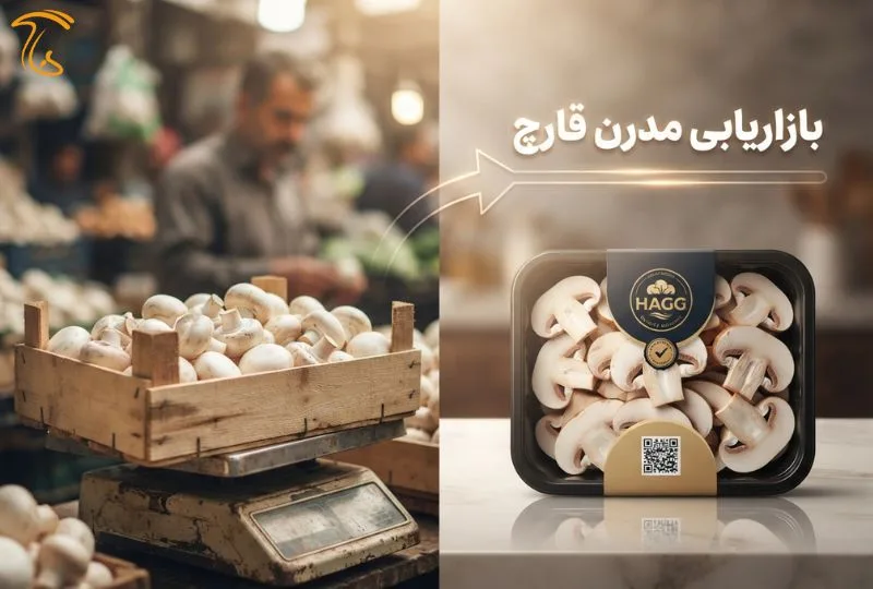 تصویر مفهومی بازاریابی فروش قارچ