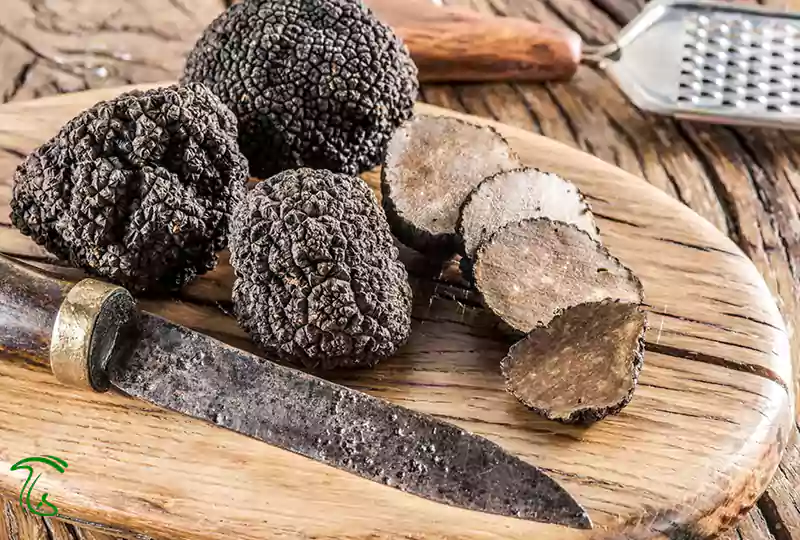 نمایی از قارچ ترافل برای غذای لوکس نمایش بازار تخصصی دنبلان