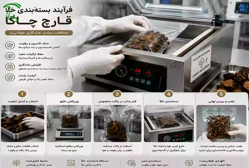 فرآیند بستهبندی خلأ قارچ چاگا برای کاهش تماس با اکسیژن و افزایش ماندگاری محصول