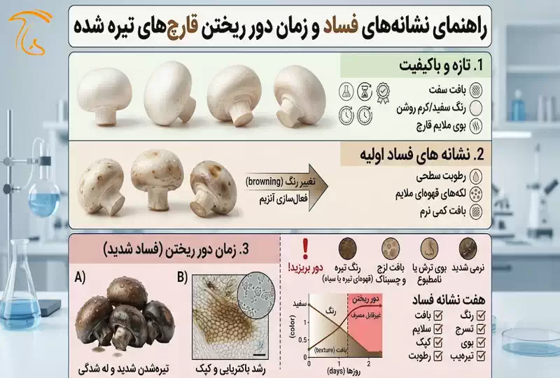 قارچ با کپک، لزجی و تغییر رنگ شدید در کنار علامت هشدار عدم مصرف.