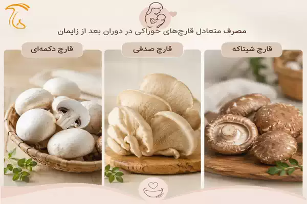 قارچ دکمهای، قارچ صدفی و قارچ شیتاکه خوراکی پرورشی مناسب برای مصرف متعادل در دوران شیردهی