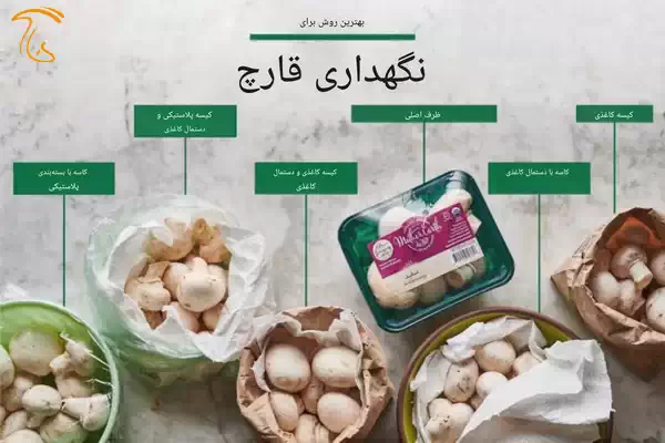 نگهداری قارچ تازه در یخچال با دمای مناسب برای حفظ کیفیت و ایمنی مصرف