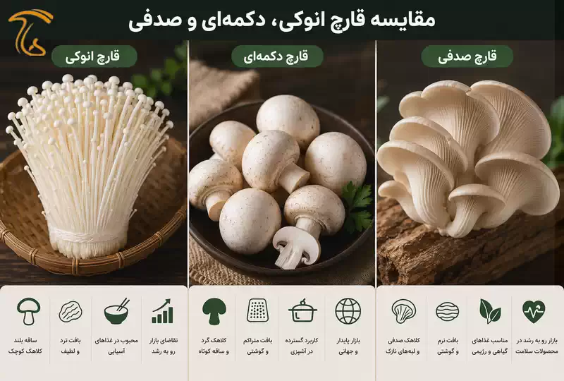 مقایسه قارچ انوکی، قارچ دکمهای و قارچ صدفی از نظر ظاهر و بازار فروش