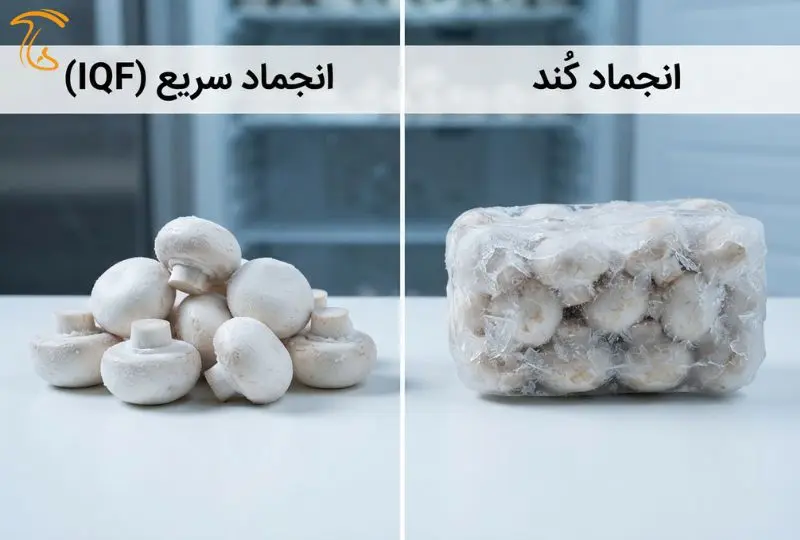 مقایسه انجماد سریع (IQF) در مقابل انجماد کُند در فریزر معمولی