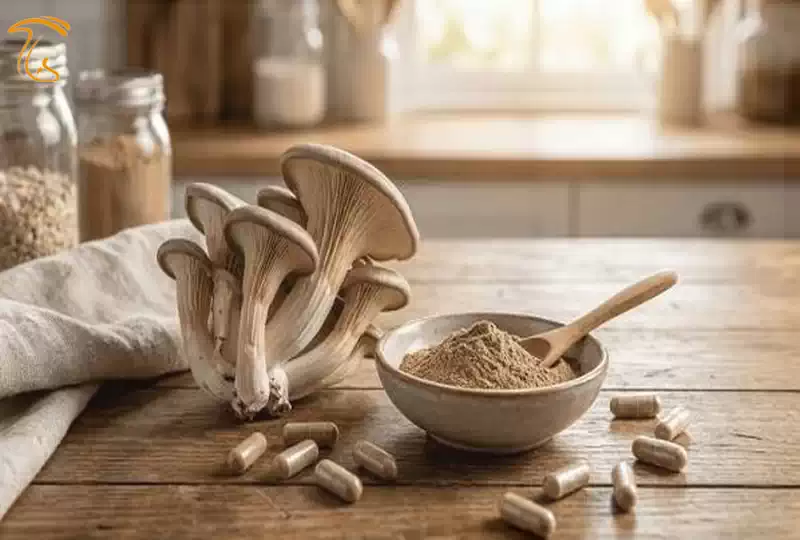 پودر قارچ صدفی خالص Pleurotus ostreatus