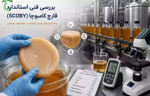 بررسی فنی استاندارد قارچ کامبوچا (SCOBY) و شاخص‌های کنترل کیفیت در خط تولید صنعتی