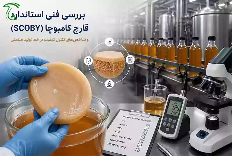 راهنمای استاندارد قارچ کامبوچا | الزامات فنی، کنترل کیفیت و اصول صنعتی