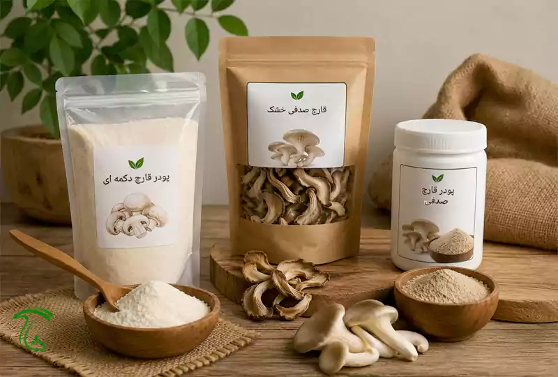 اشکال مختلف صادرات قارچ فرآوریشده
