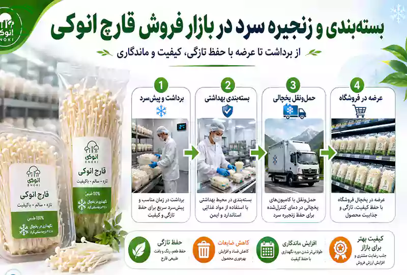 بستهبندی و زنجیره سرد در بازار فروش قارچ انوکی