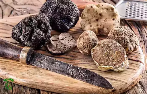 طرز مصرف قارچ ترافل سفید و سیاه