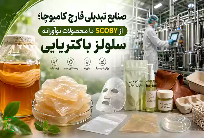 صنایع تبدیلی قارچ کامبوچا و محصولات صنعتی حاصل از SCOBY و سلولز باکتریایی