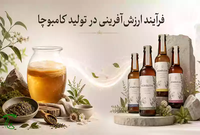 محاسبه درآمد و سود تولید قارچ کامبوچا بر اساس هزینه و فروش
