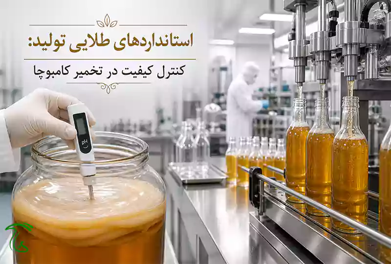 کنترل کیفیت در تولید کامبوچا و تأثیر آن بر سودآوری