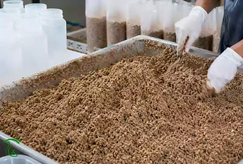 اختلاط یکنواخت مواد و آب پیش از پرکردن ظروف کشت انوکی