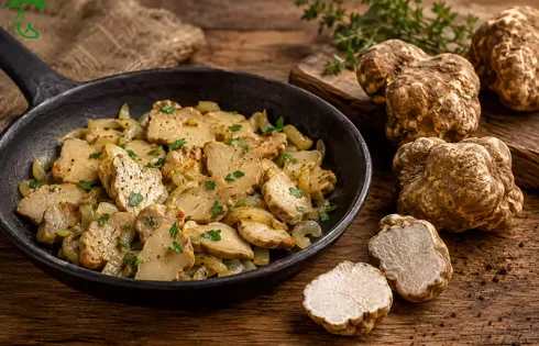 طرز پخت قارچ دنبلان کوهی با پیاز در تابه