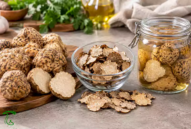 دنبلان تازه، دنبلان خشکشده و دنبلان کنسروی در شیشه
