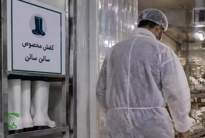 نظافت مزرعه قارچ صدفی - کنترل کارکنان در هنگام ورود و خروج