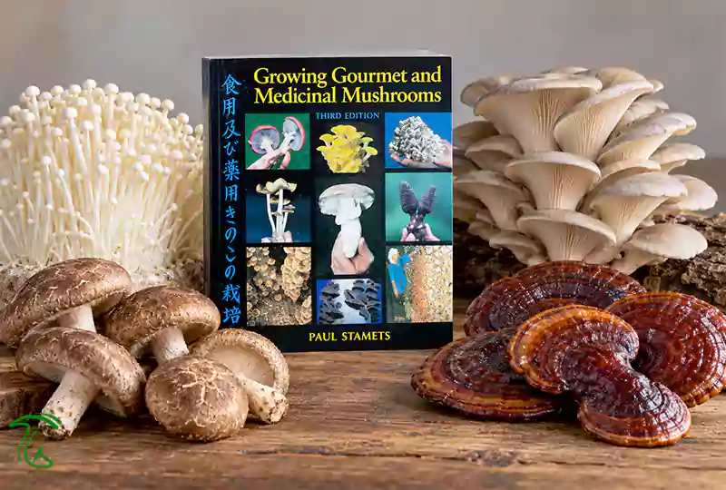 جلد کتاب Growing Gourmet and Medicinal Mushrooms نوشته Paul Stamets