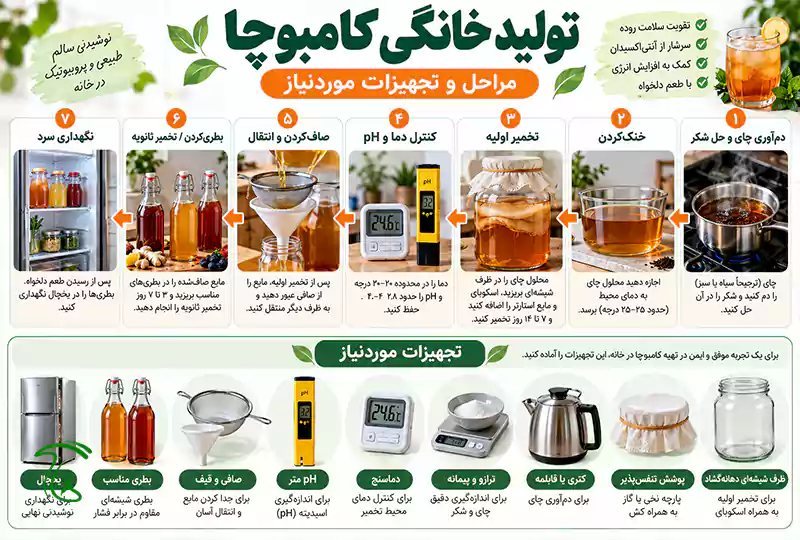 تجهیزات پرورش قارچ کامبوجا در منزل