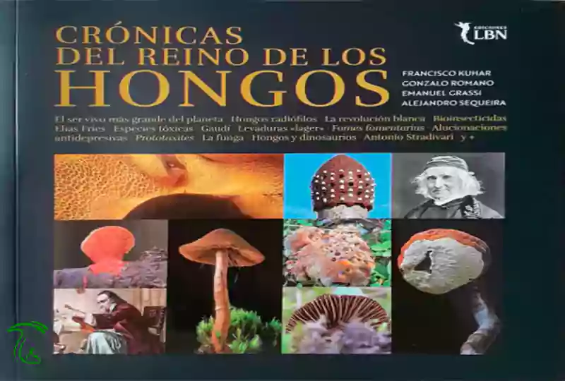 جلد کتاب Hongos comestibles: El cultivo de Flammulina velutipes