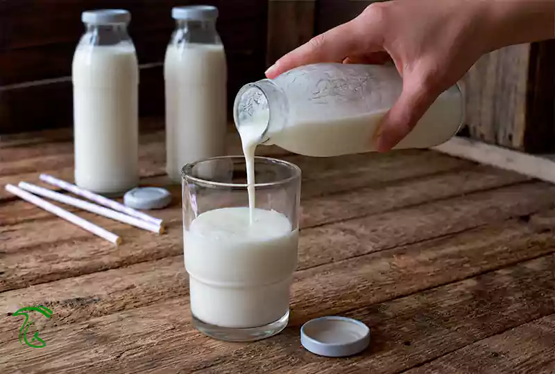 طرز تهیه قارچ کفیر در خانه - مواد لازم و ضروری