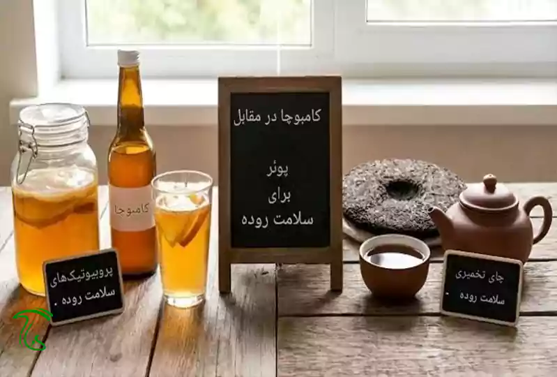 بطری و شیشههای کامبوچا کنار اسکوبی و قوری چای